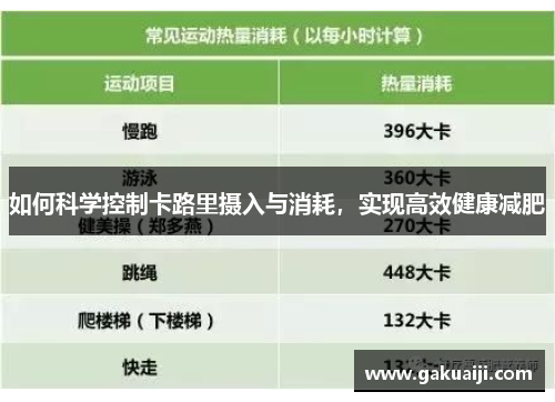 如何科学控制卡路里摄入与消耗，实现高效健康减肥