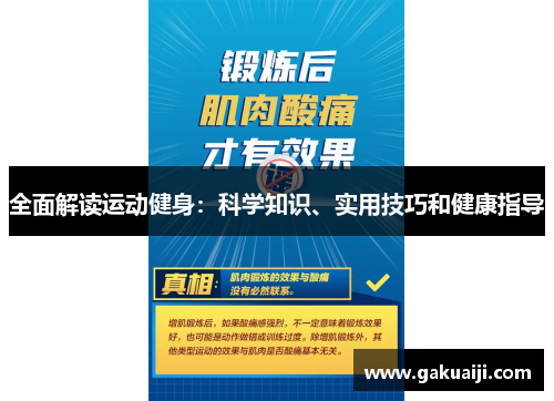 全面解读运动健身：科学知识、实用技巧和健康指导
