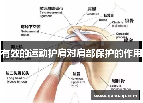 有效的运动护肩对肩部保护的作用