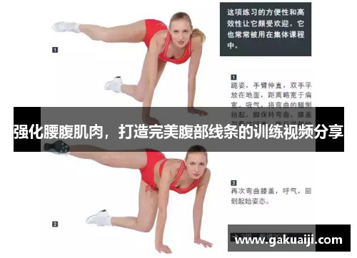 强化腰腹肌肉，打造完美腹部线条的训练视频分享
